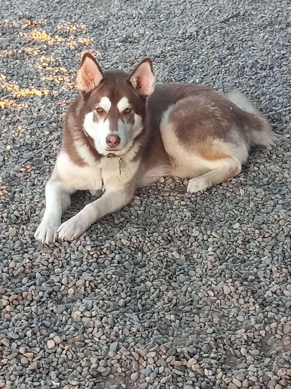 Profile photo 7 of 7