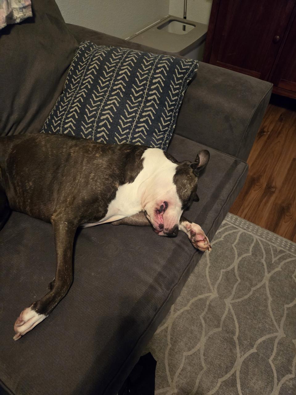 Profile photo 8 of 9