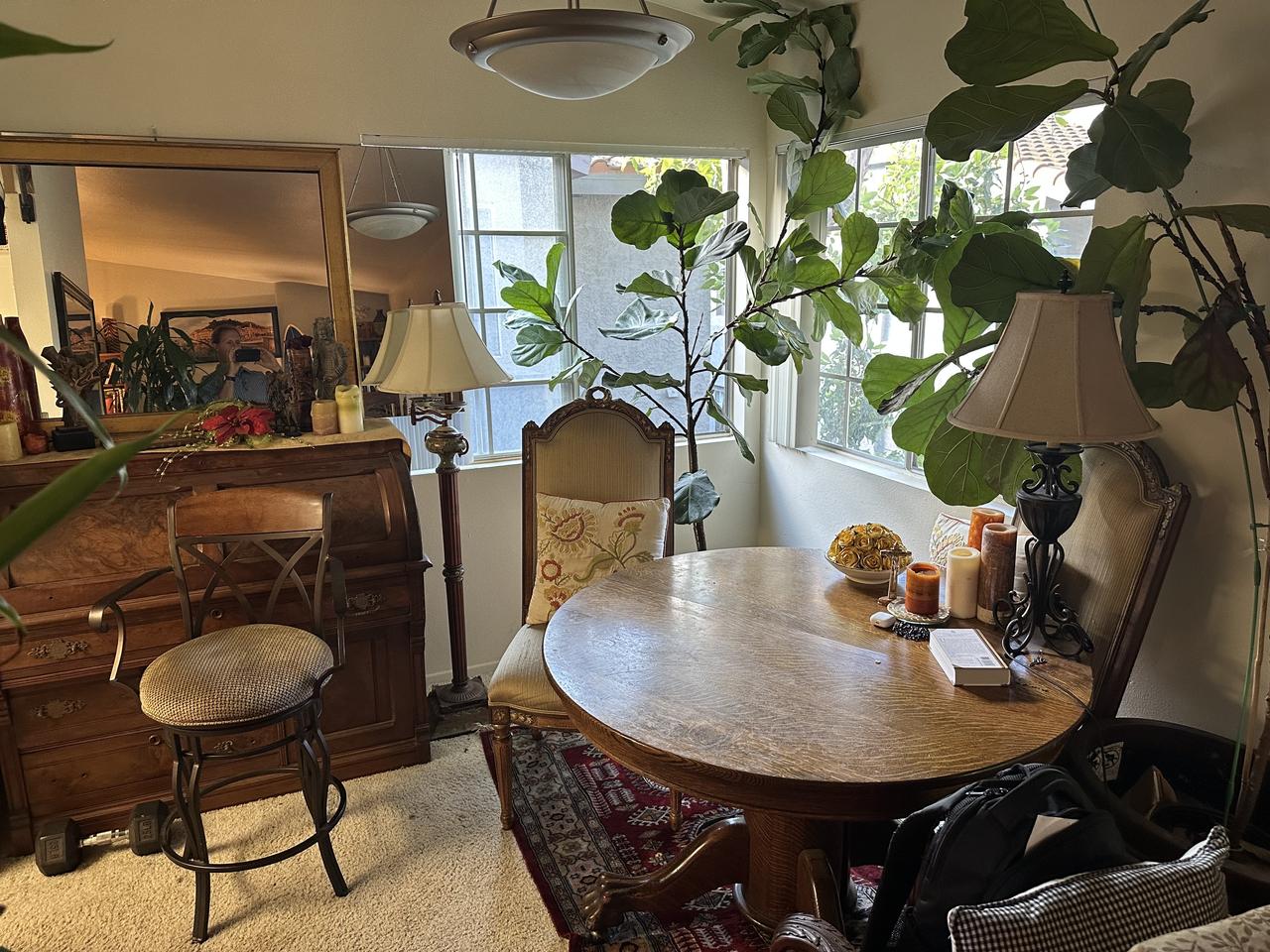 Profile photo 4 of 12