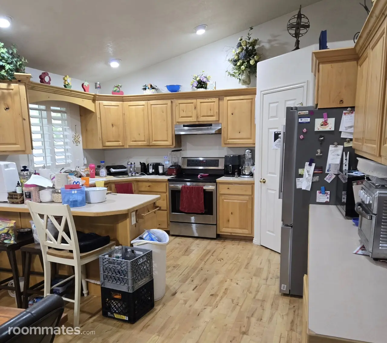 Profile photo 10 of 11