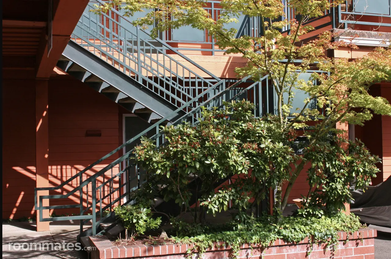 Profile photo 7 of 8