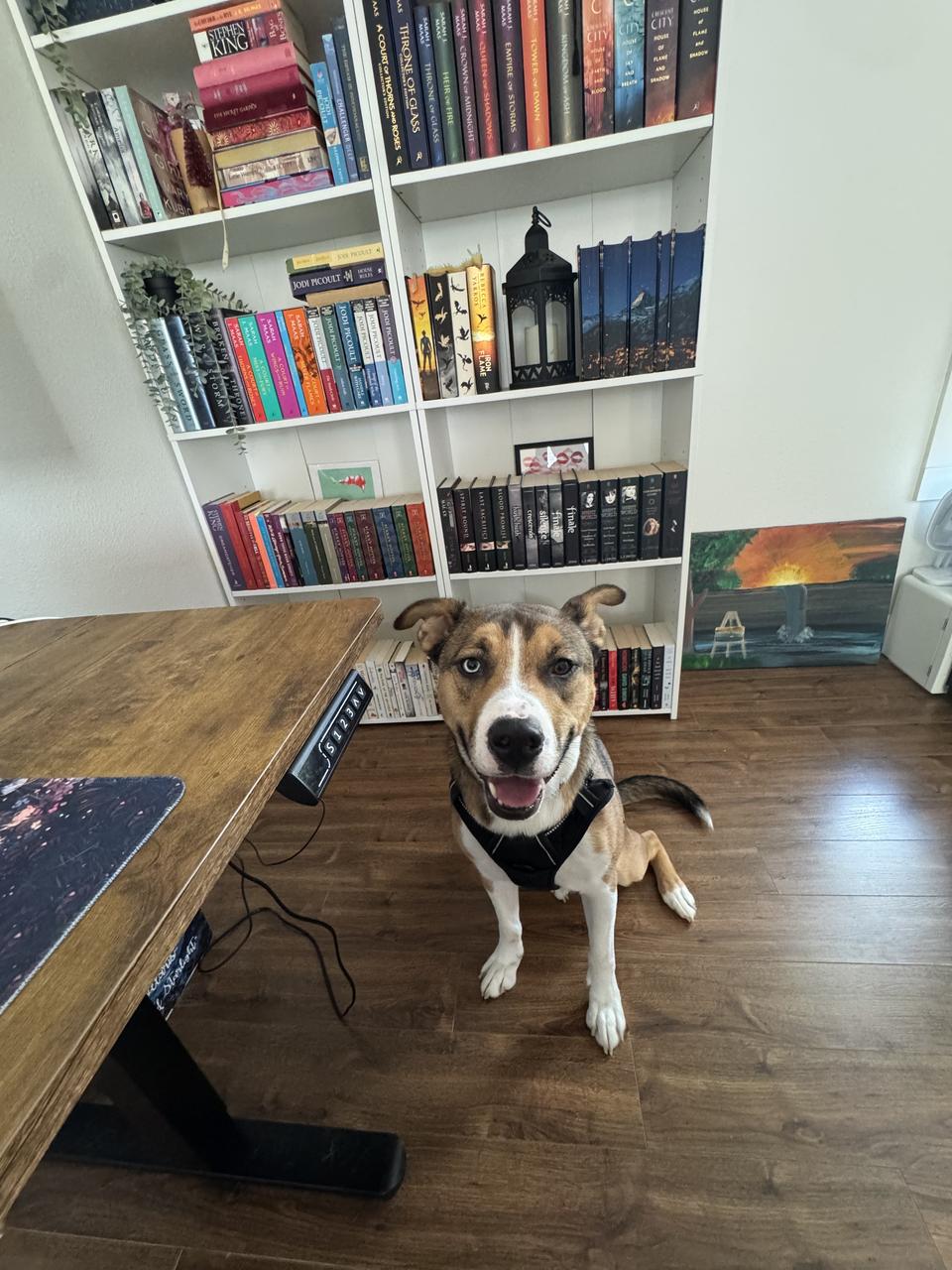 Profile photo 8 of 14