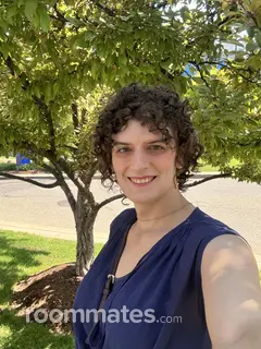 Roommate looking Ferndale, MI, $700