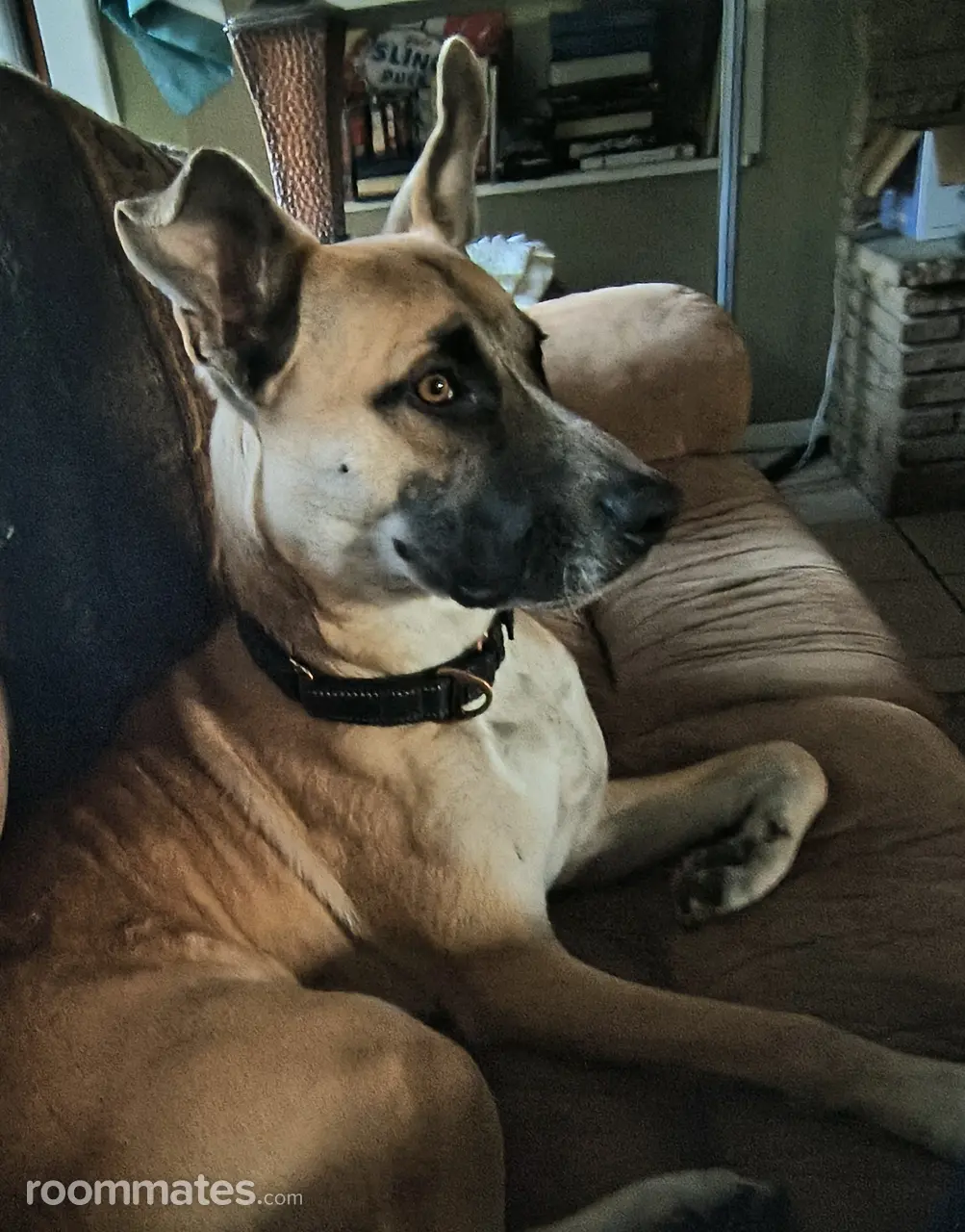 Profile photo 4 of 5