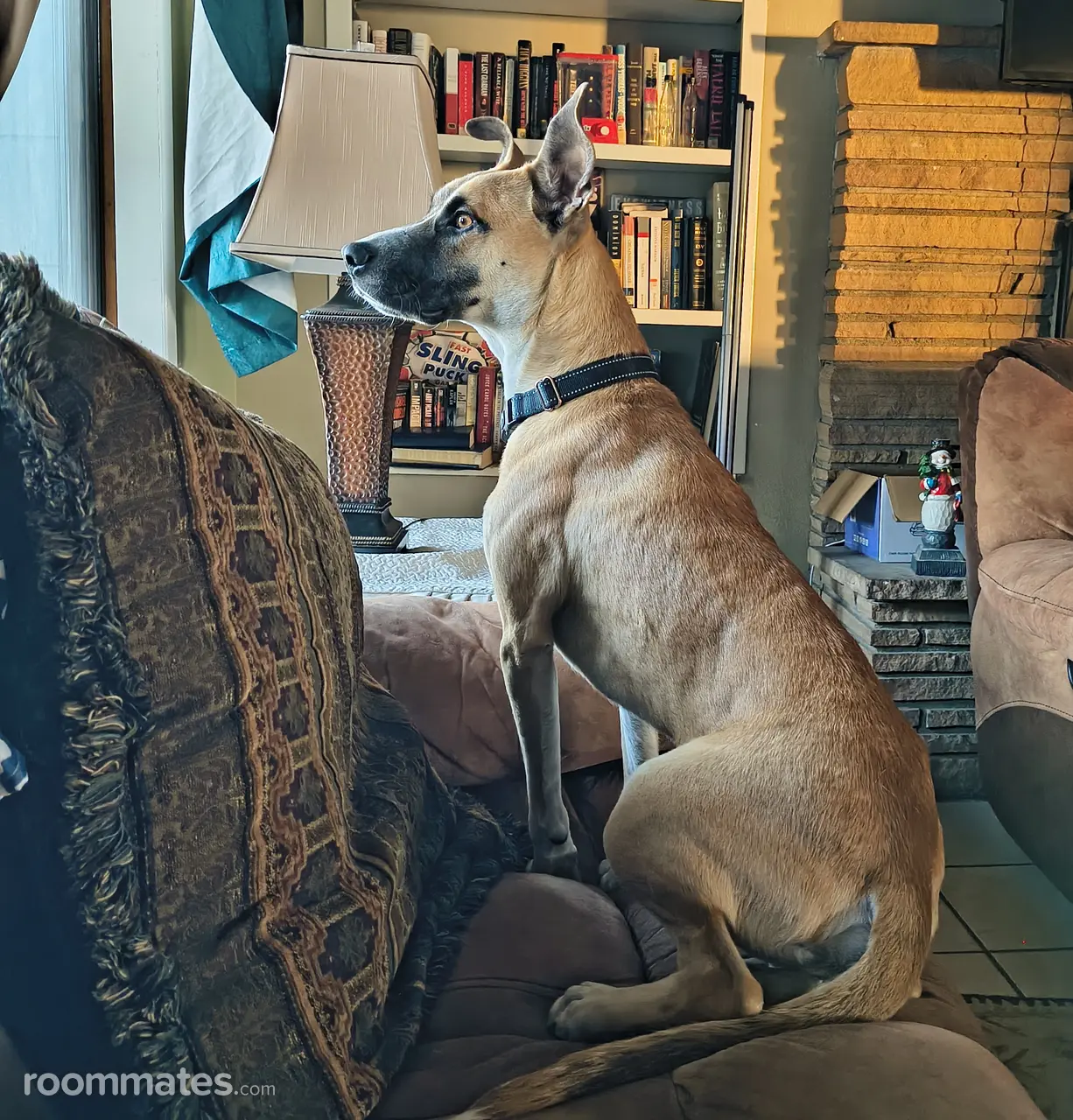 Profile photo 5 of 5