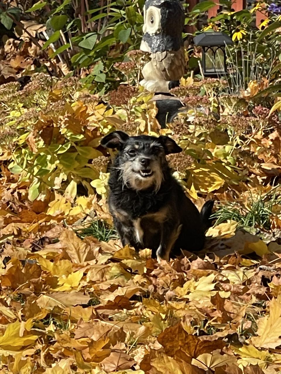 Profile photo 2 of 5