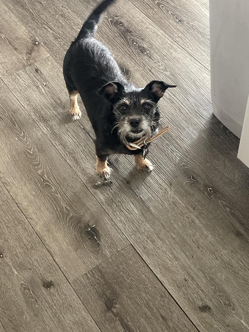 Profile photo 4 of 5