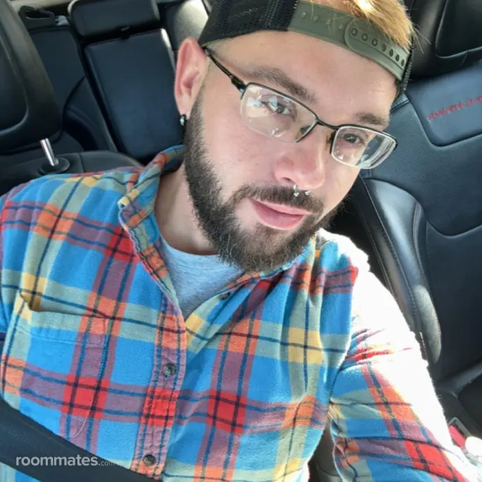 Roommate looking Harrisburg, PA, $800
