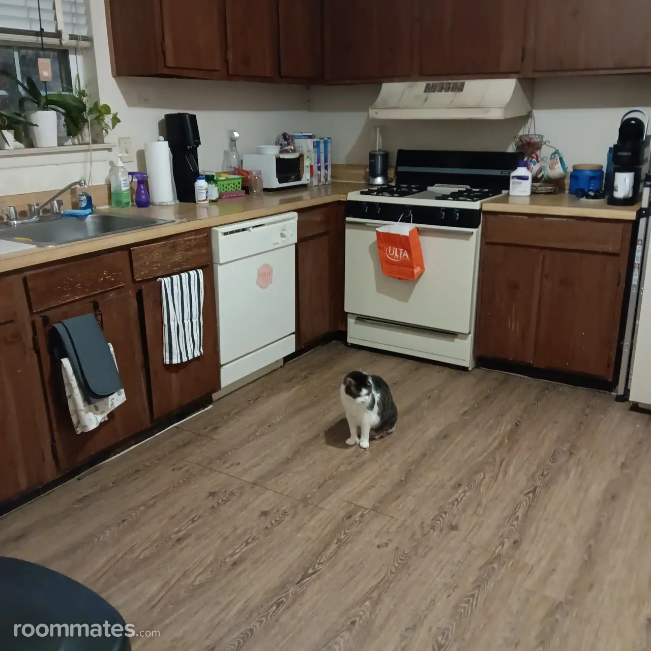 Profile photo 1 of 10