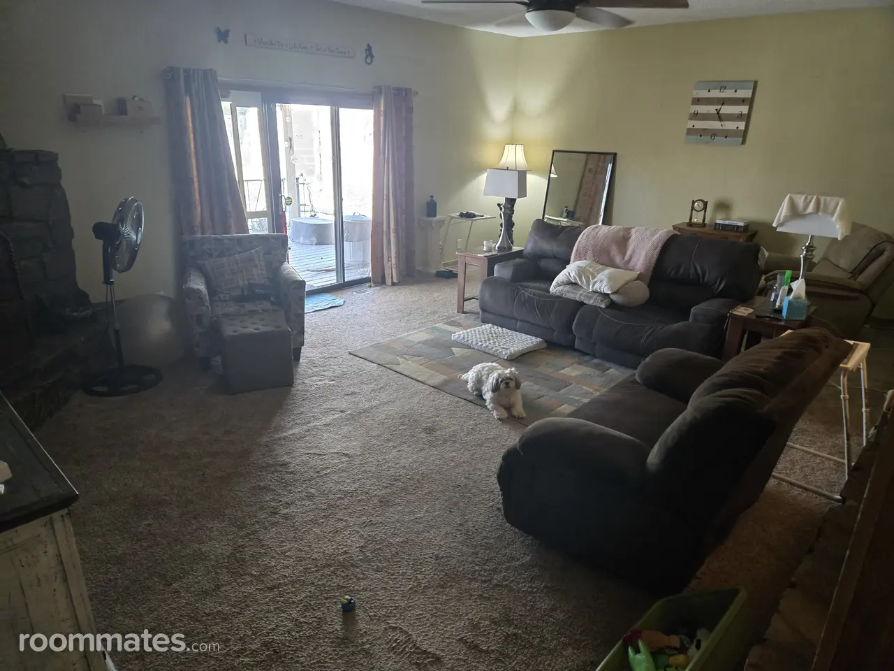 Profile photo 2 of 14