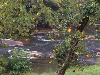 Roommate looking Sarasota, FL, $1500