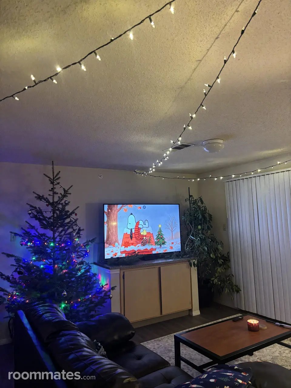 Profile photo 1 of 5