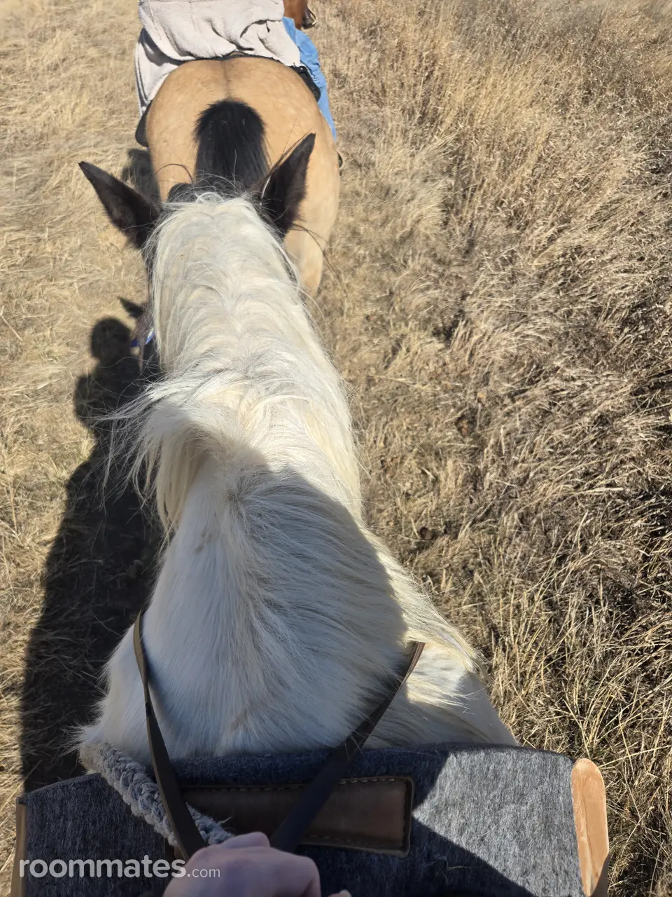 Profile photo 3 of 3