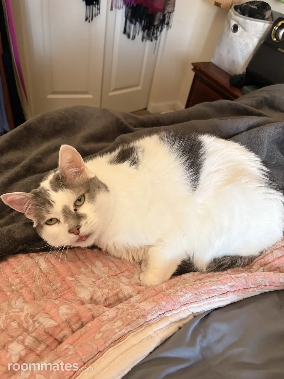 Profile photo 9 of 14