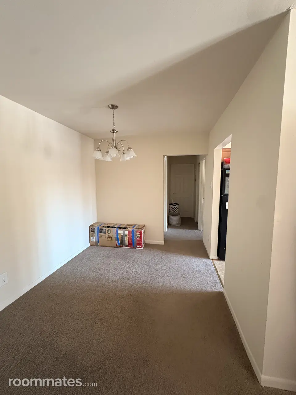 Profile photo 1 of 14