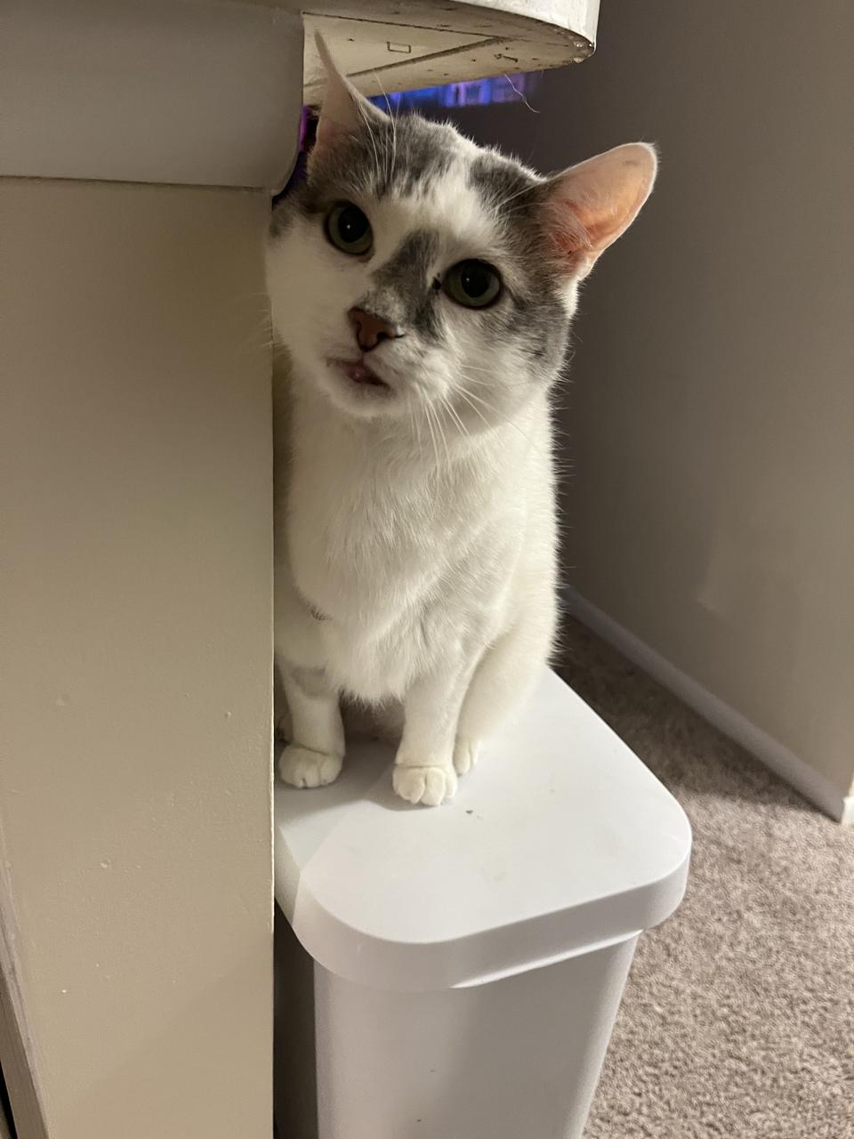 Profile photo 11 of 14