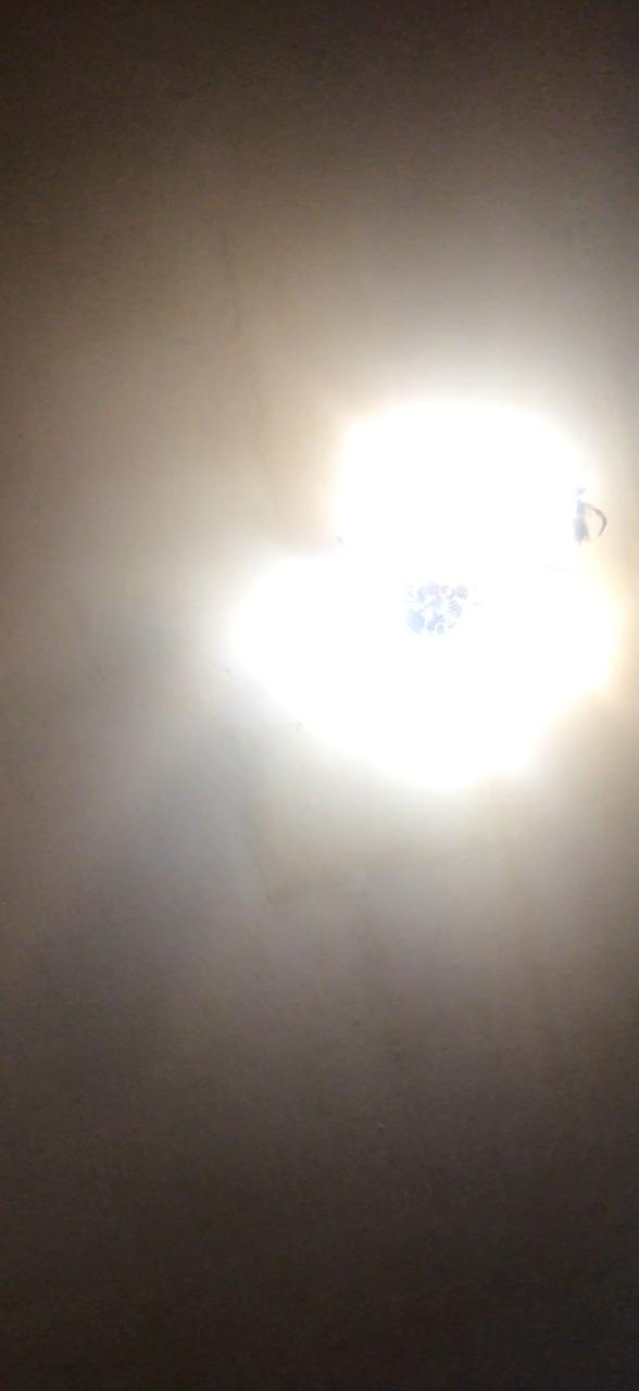 Profile photo 3 of 11