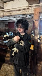 Roommate looking Easton, PA, $1100