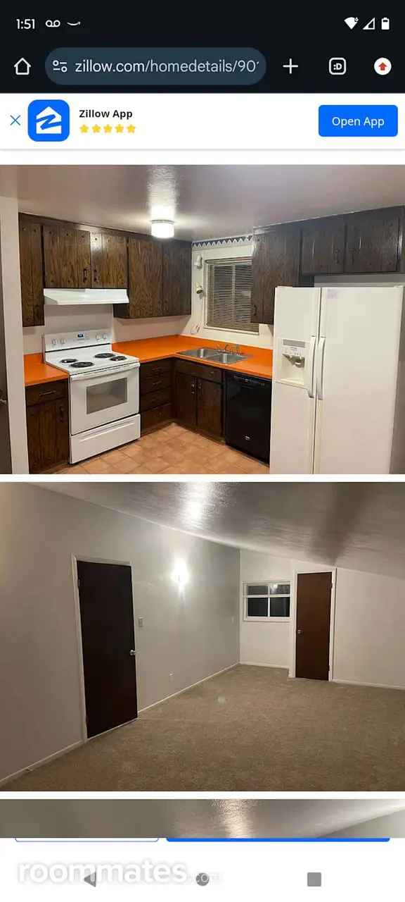 Profile photo 2 of 13