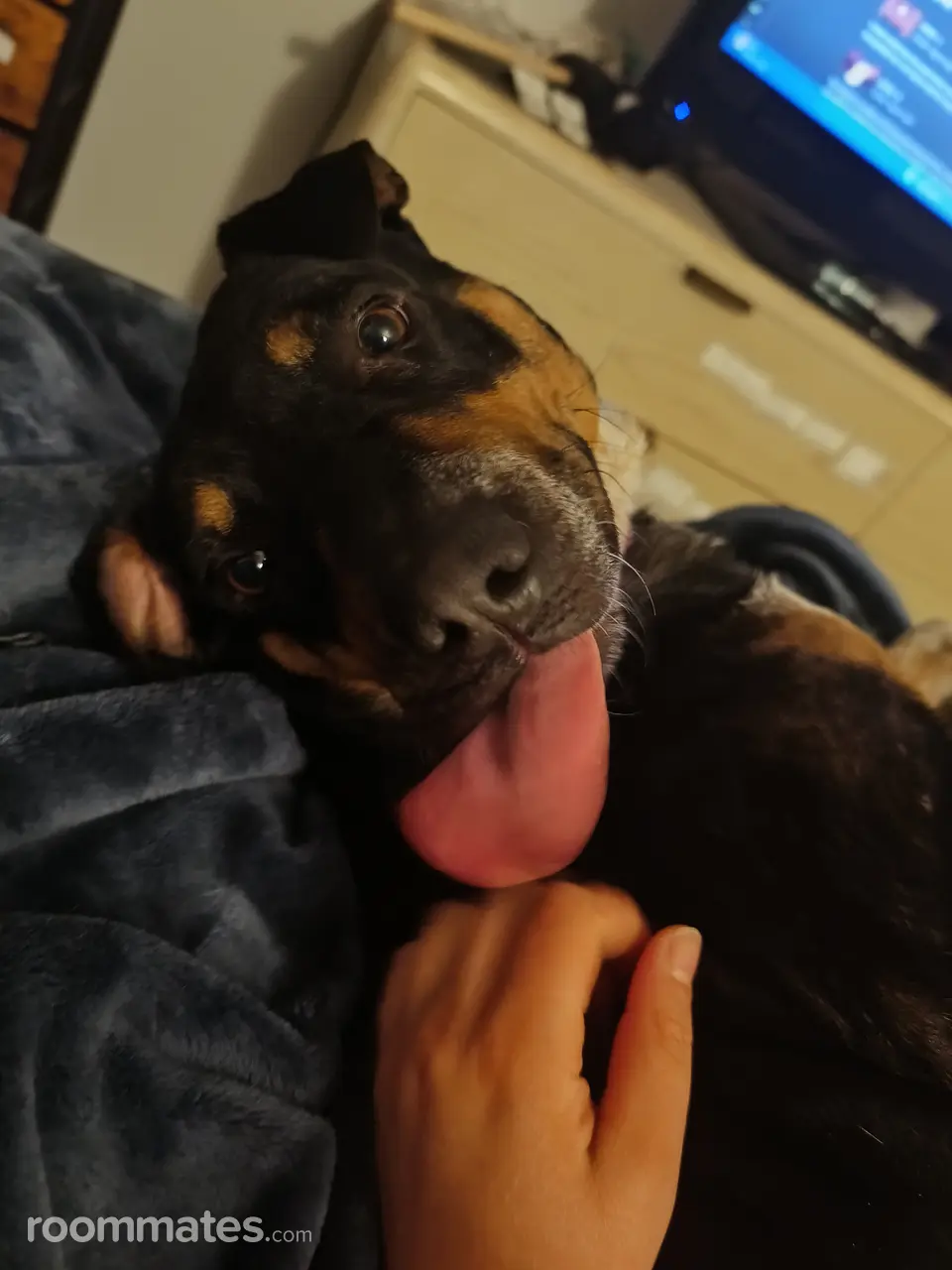 Profile photo 10 of 13