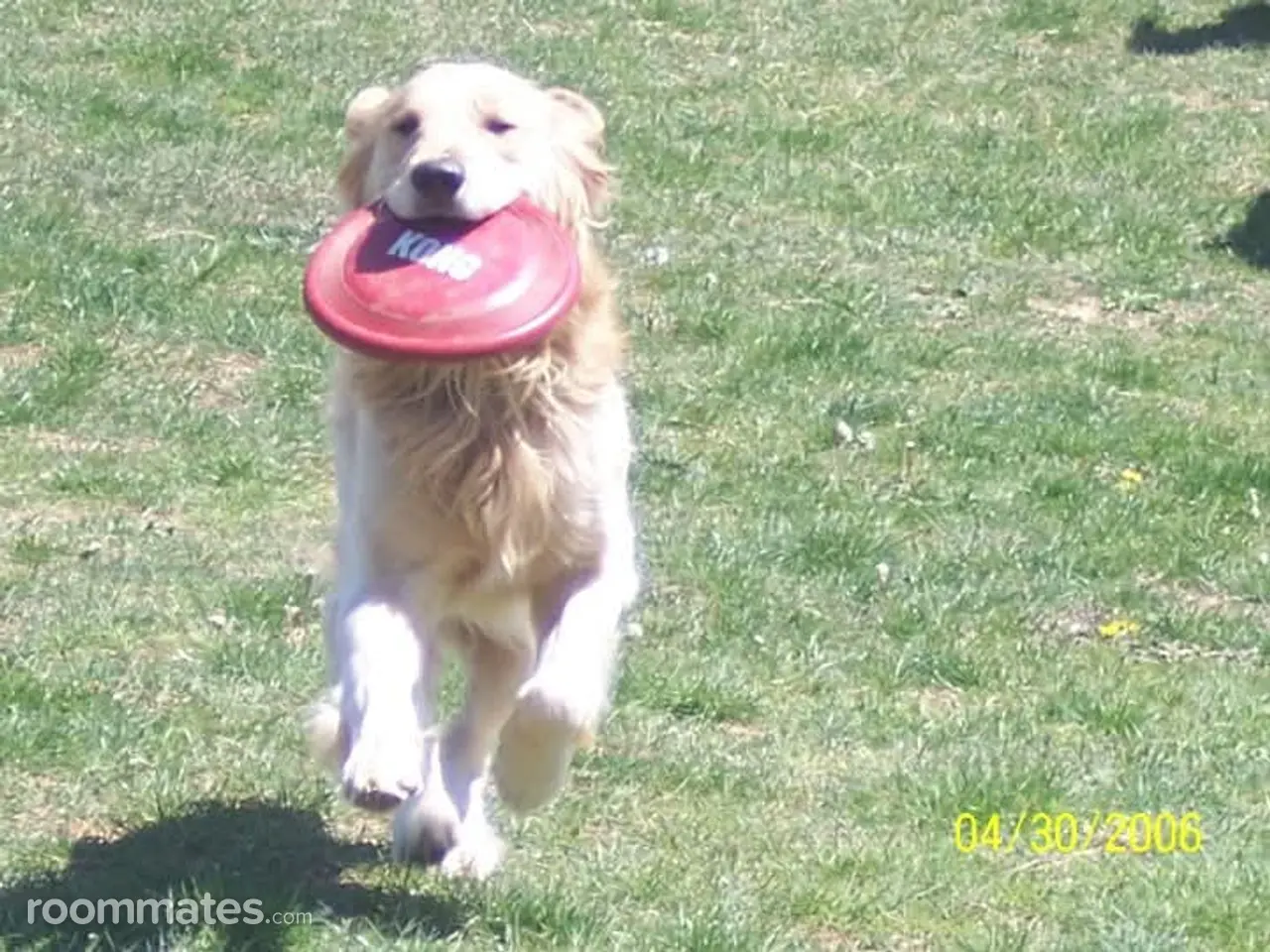 Profile photo 5 of 6