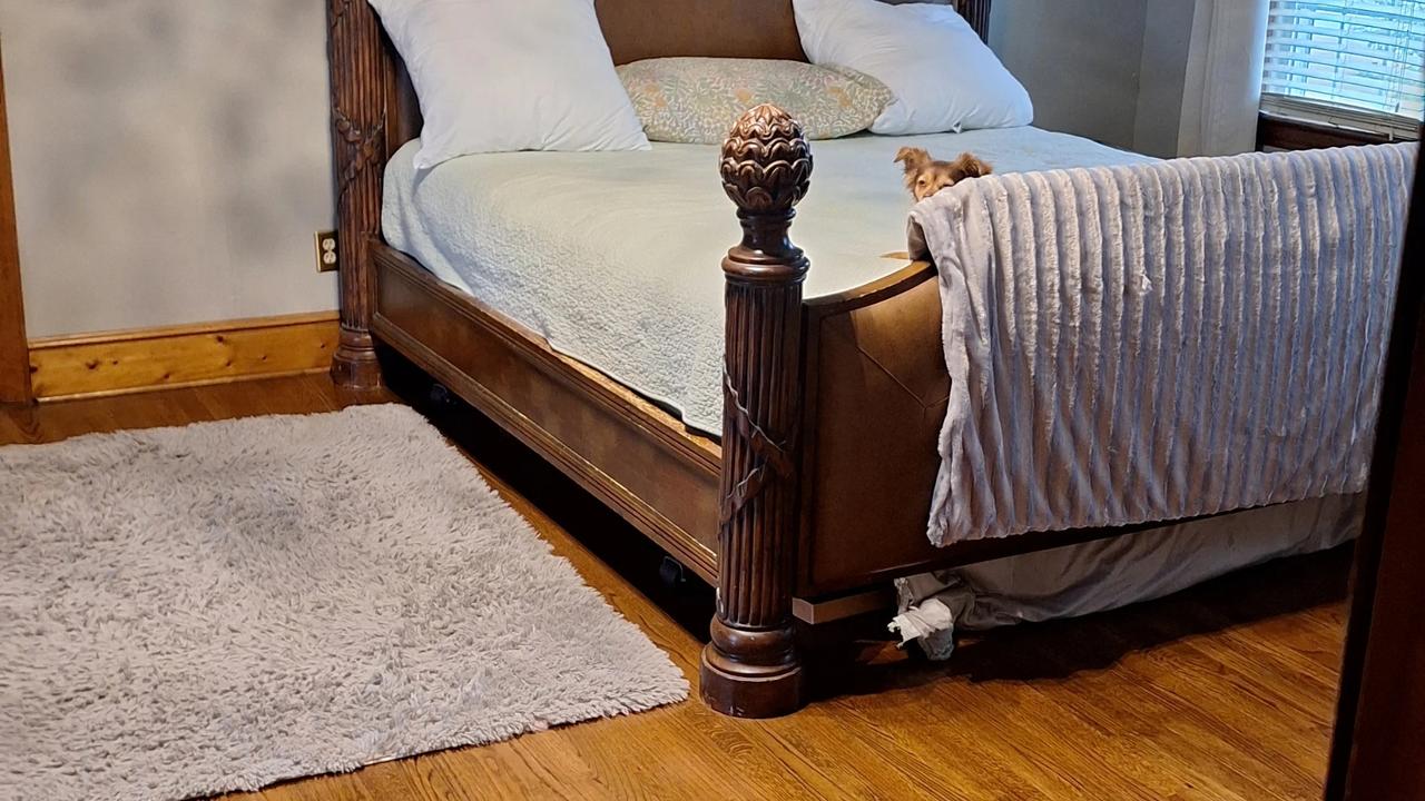 Profile photo 7 of 11