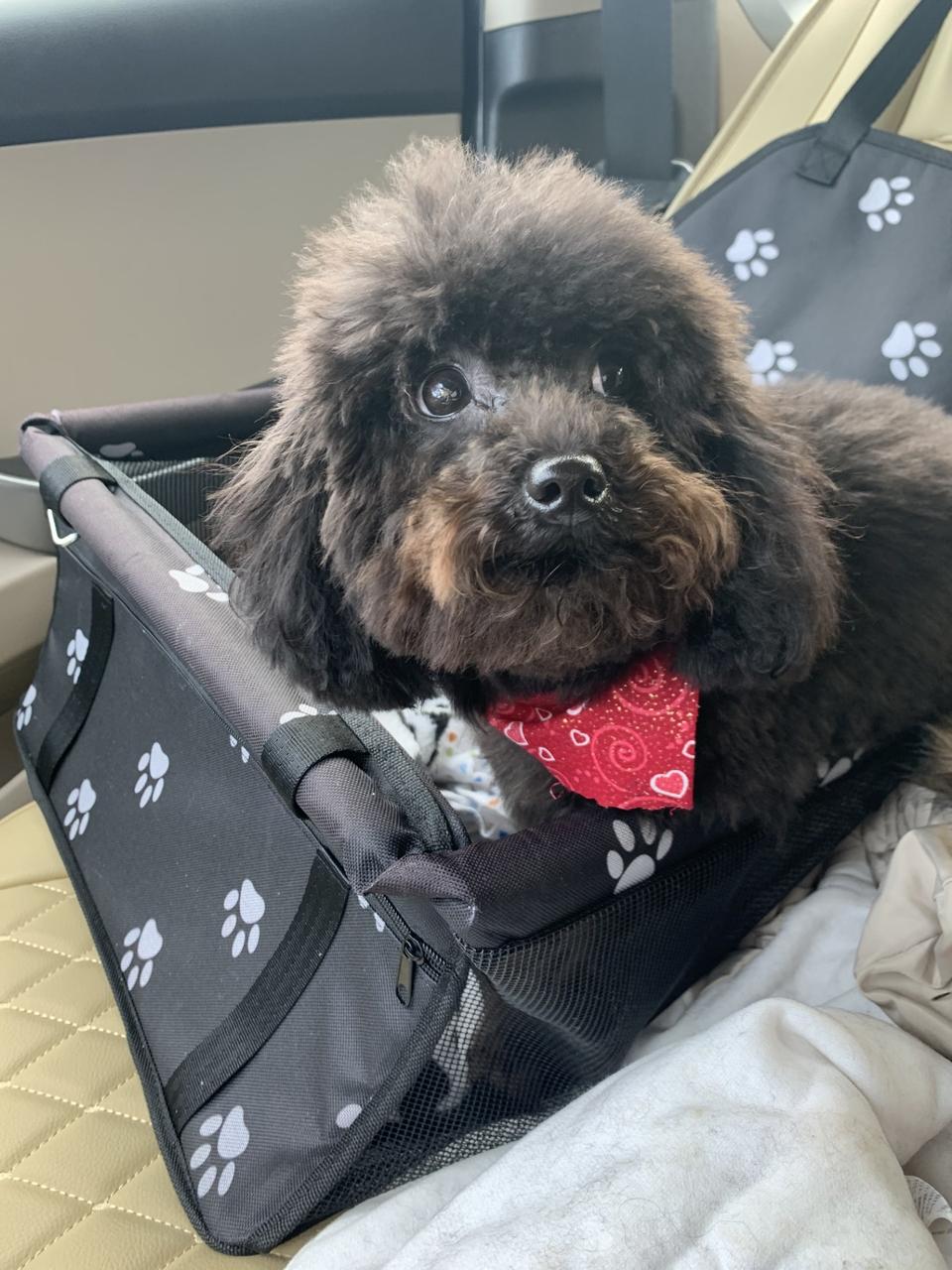 Profile photo 2 of 5