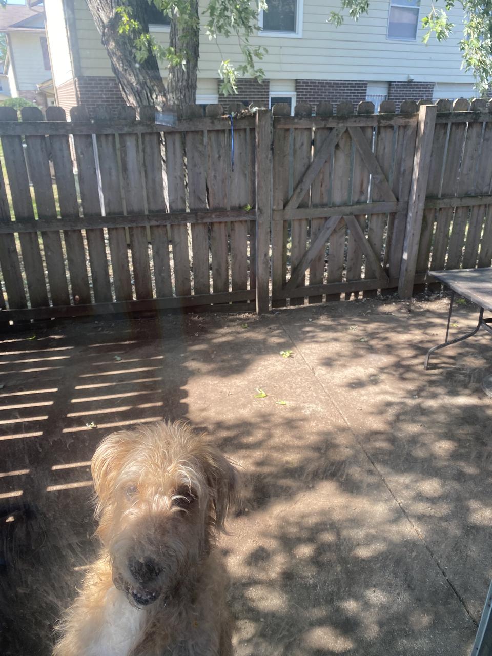 Profile photo 1 of 7