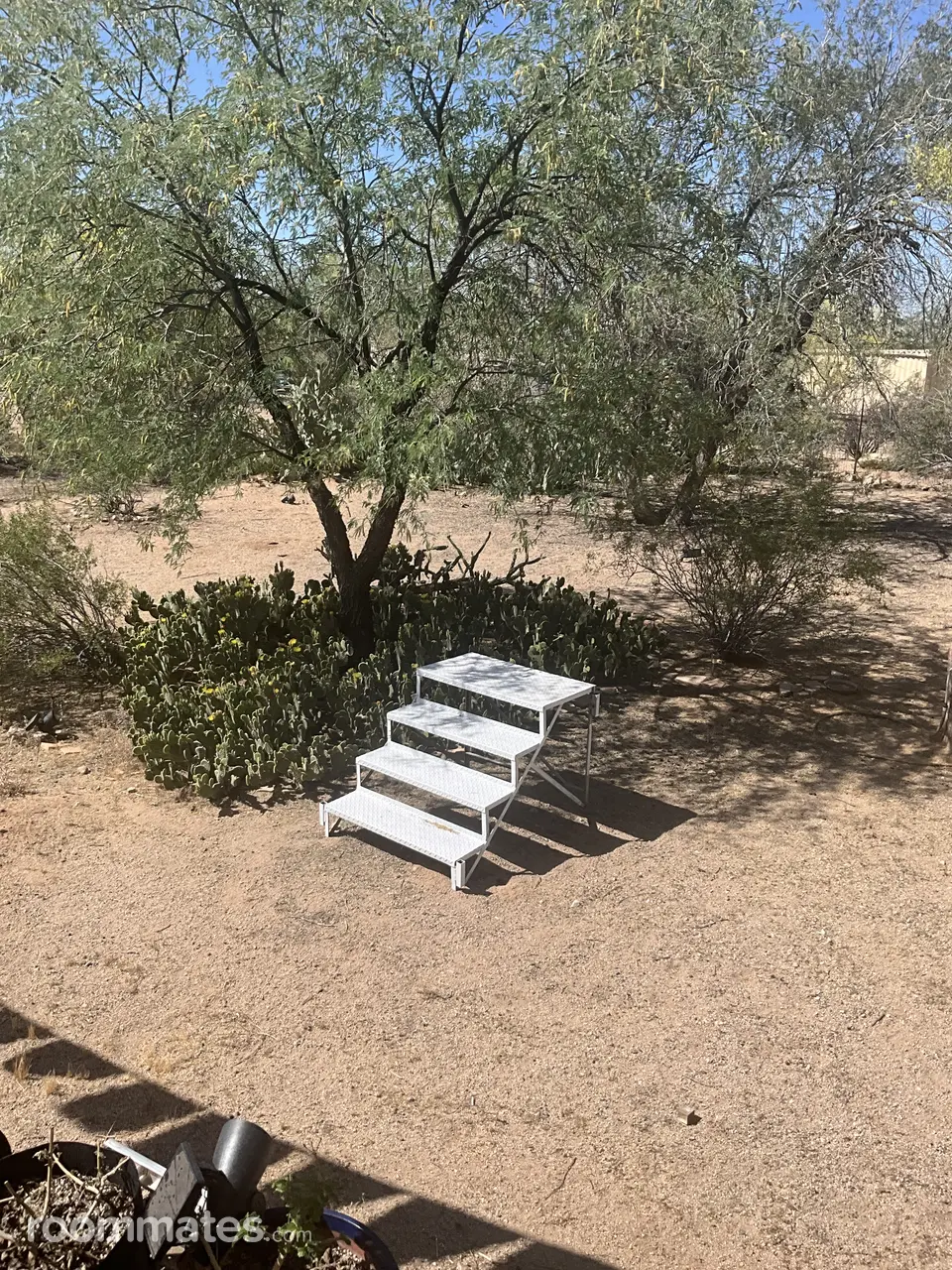 Profile photo 10 of 21