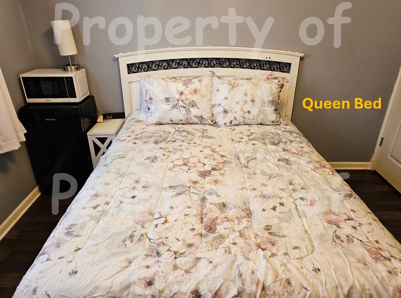 Profile photo 7 of 8