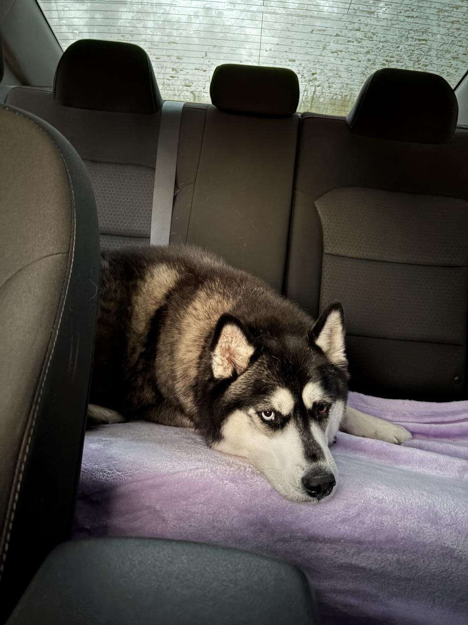 Profile photo 6 of 7