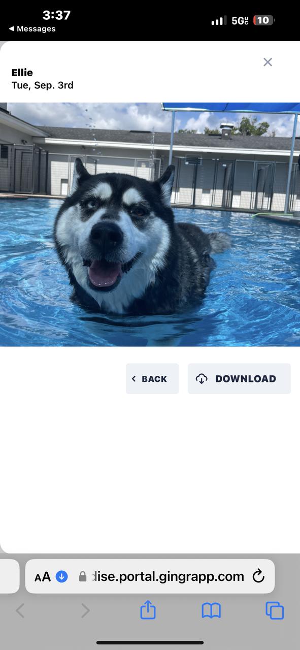 Profile photo 7 of 7