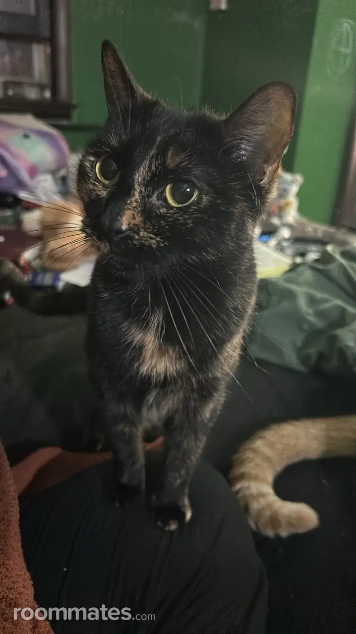 Profile photo 6 of 6