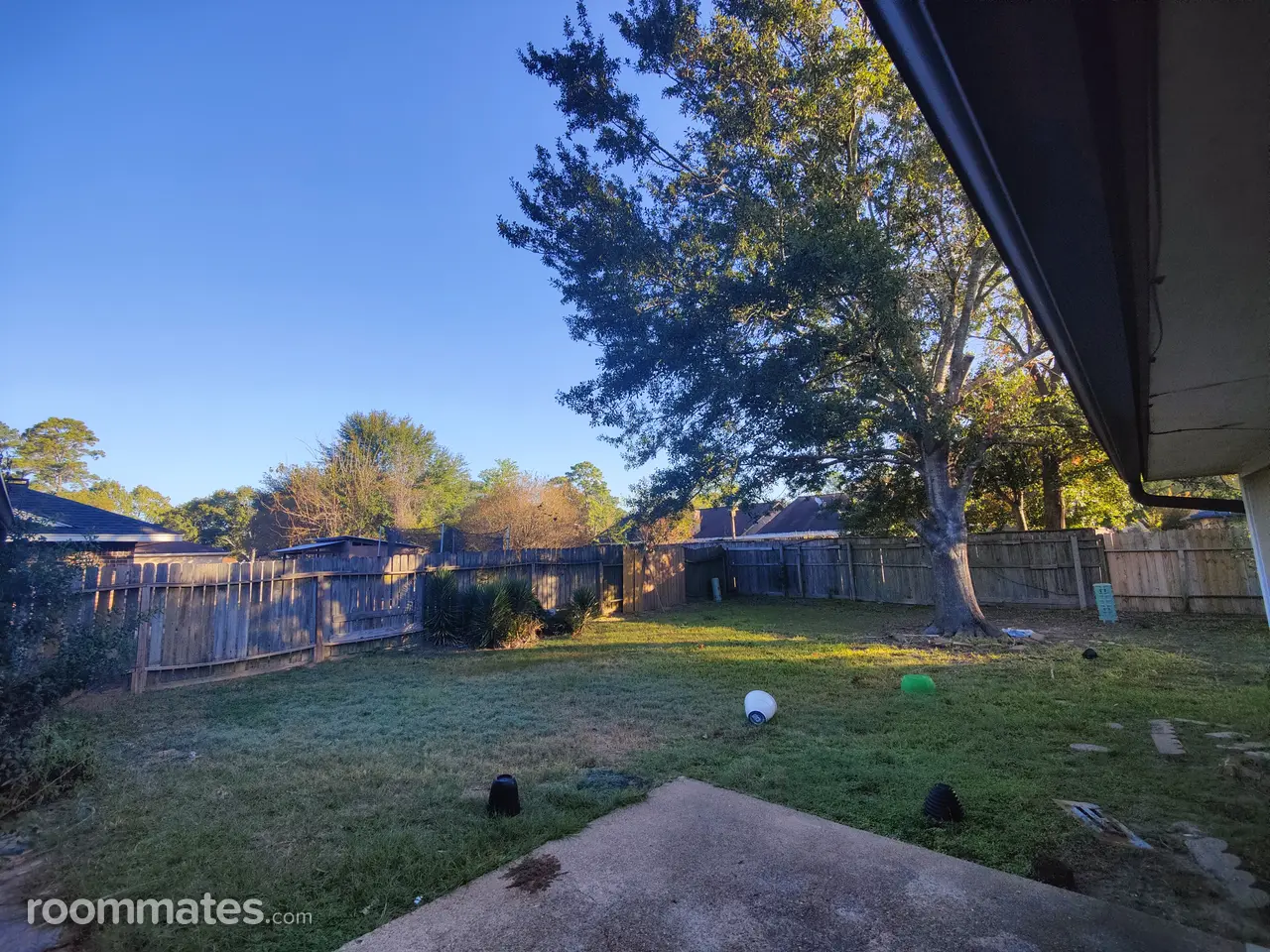 Profile photo 5 of 16