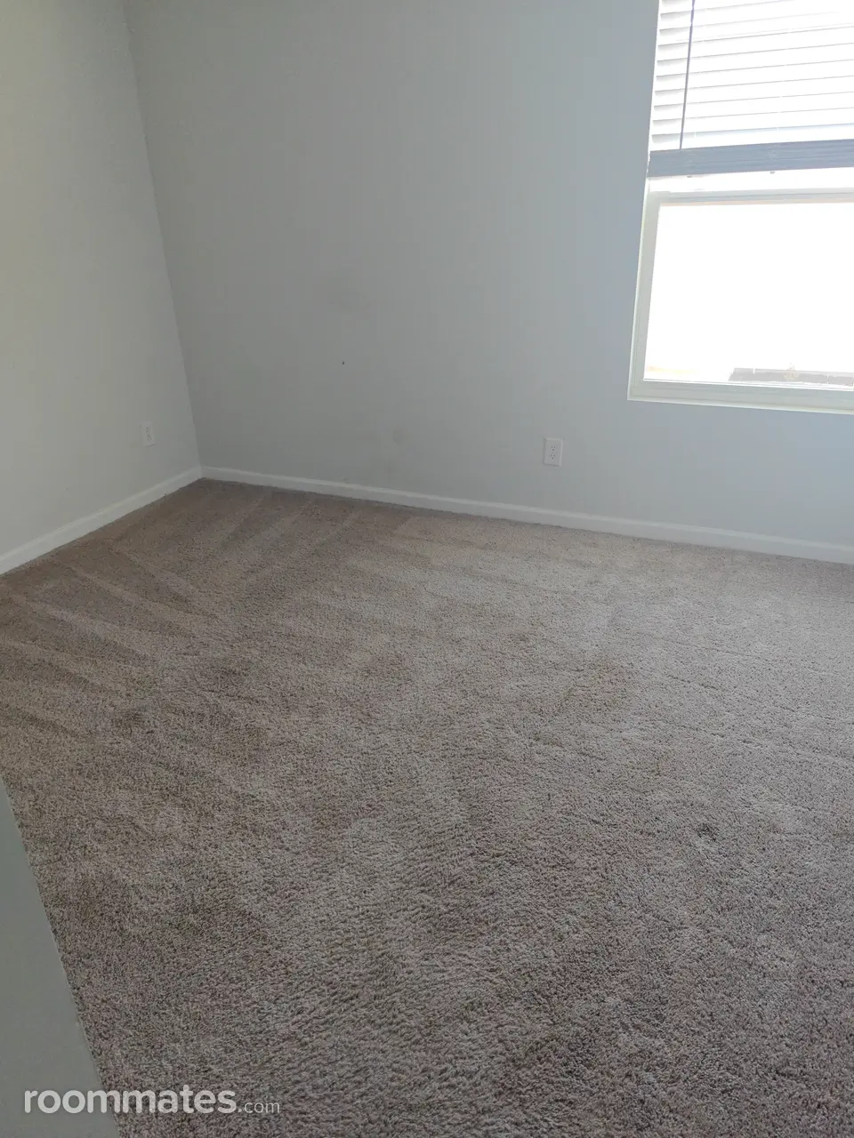 Profile photo 4 of 6