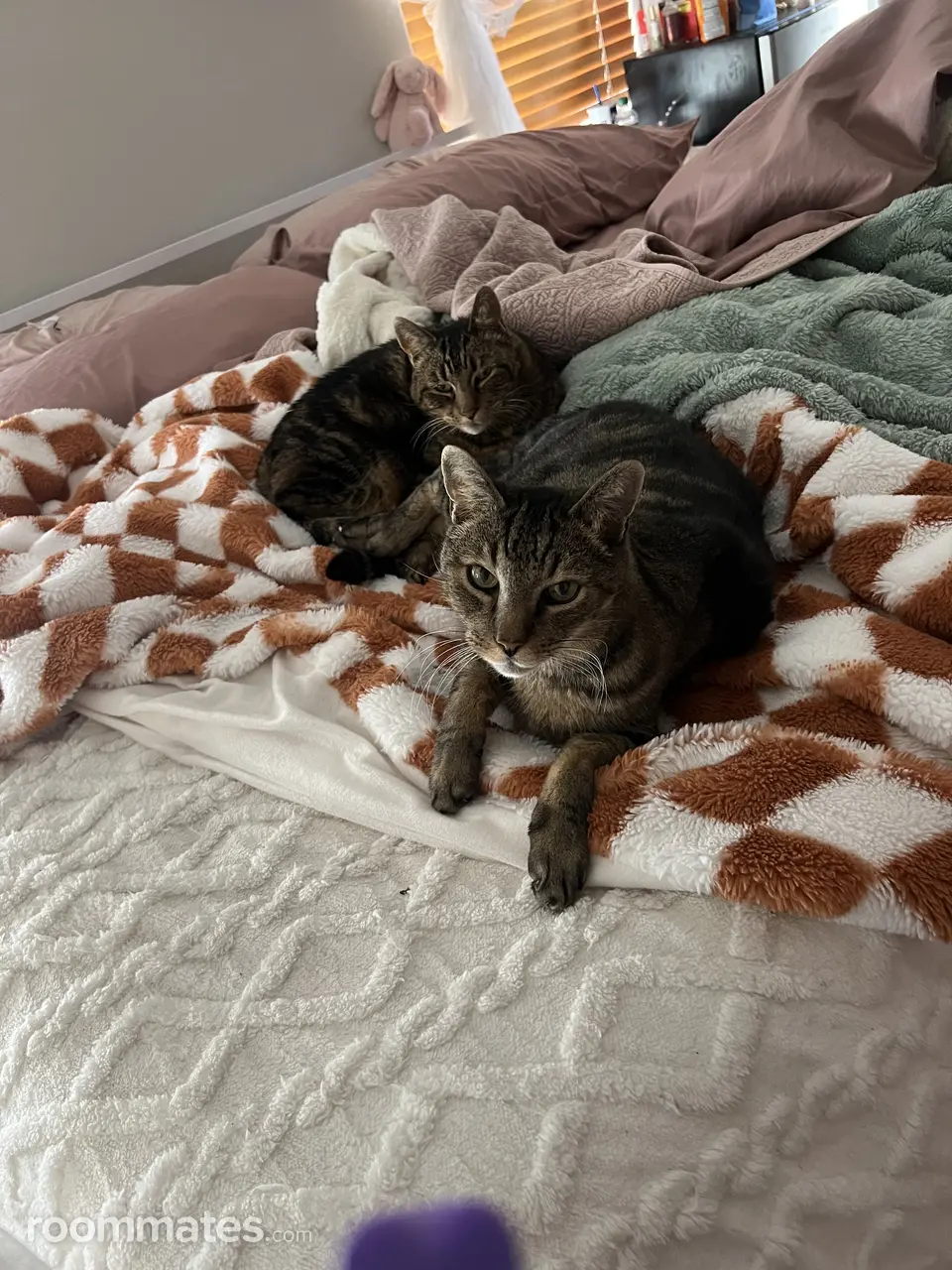 Profile photo 10 of 13