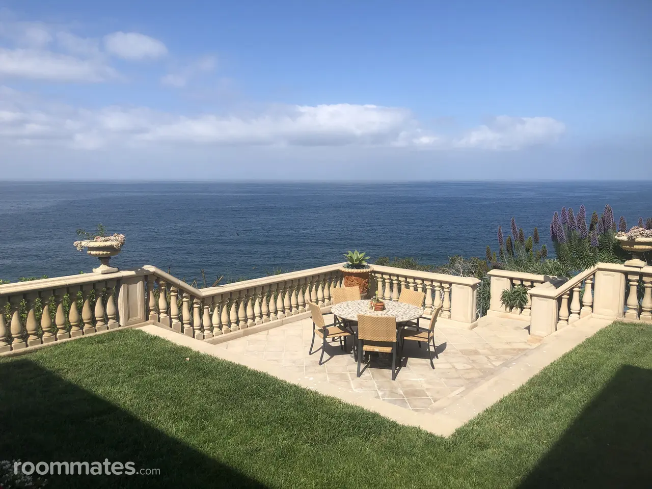 Profile photo 5 of 5