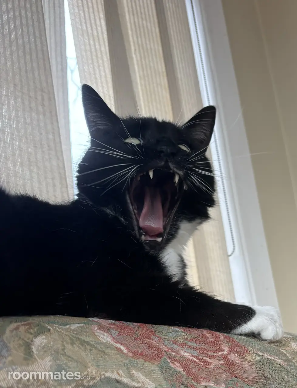 Profile photo 3 of 10