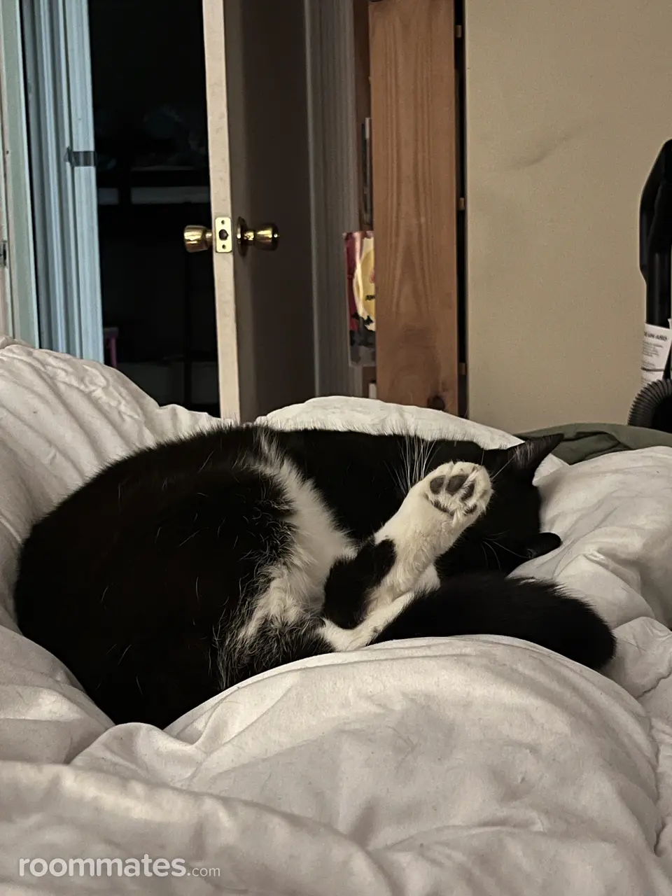 Profile photo 6 of 10