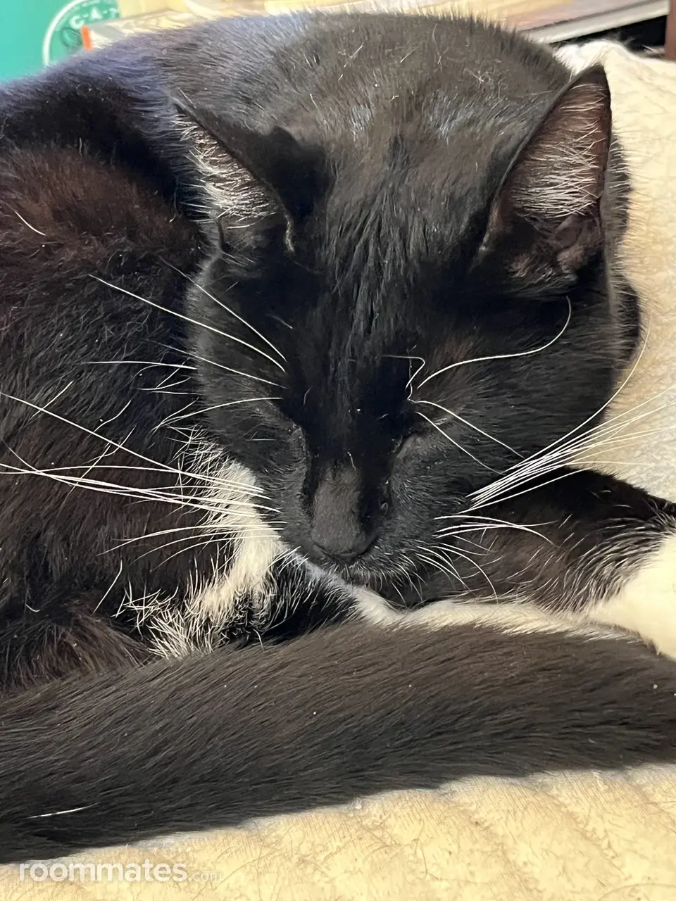 Profile photo 9 of 10