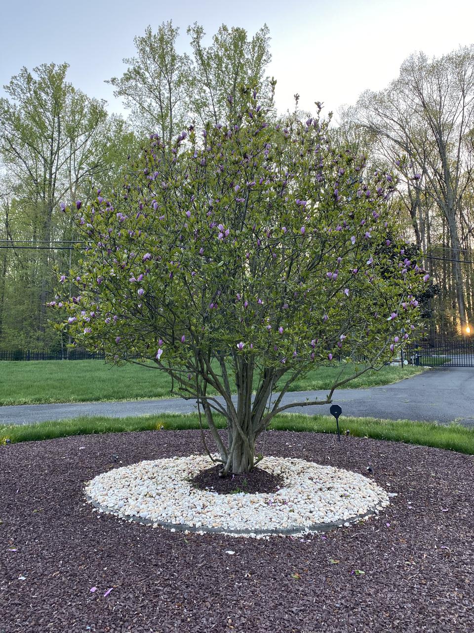 Profile photo 6 of 7