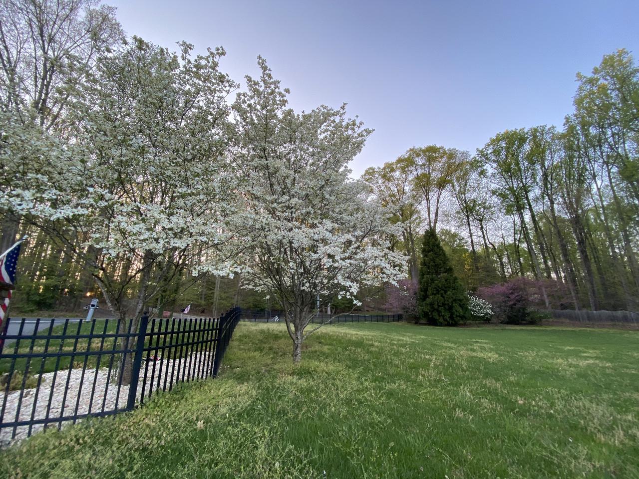 Profile photo 5 of 7