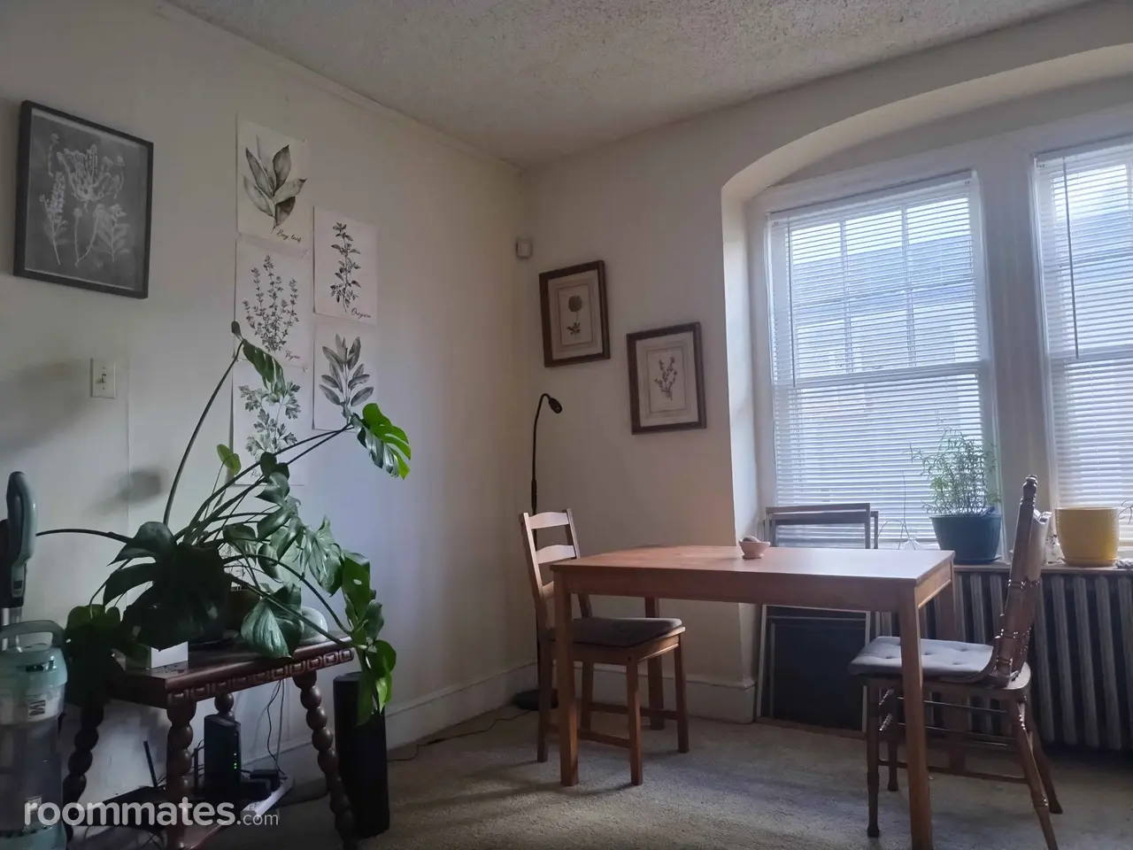 Profile photo 1 of 7