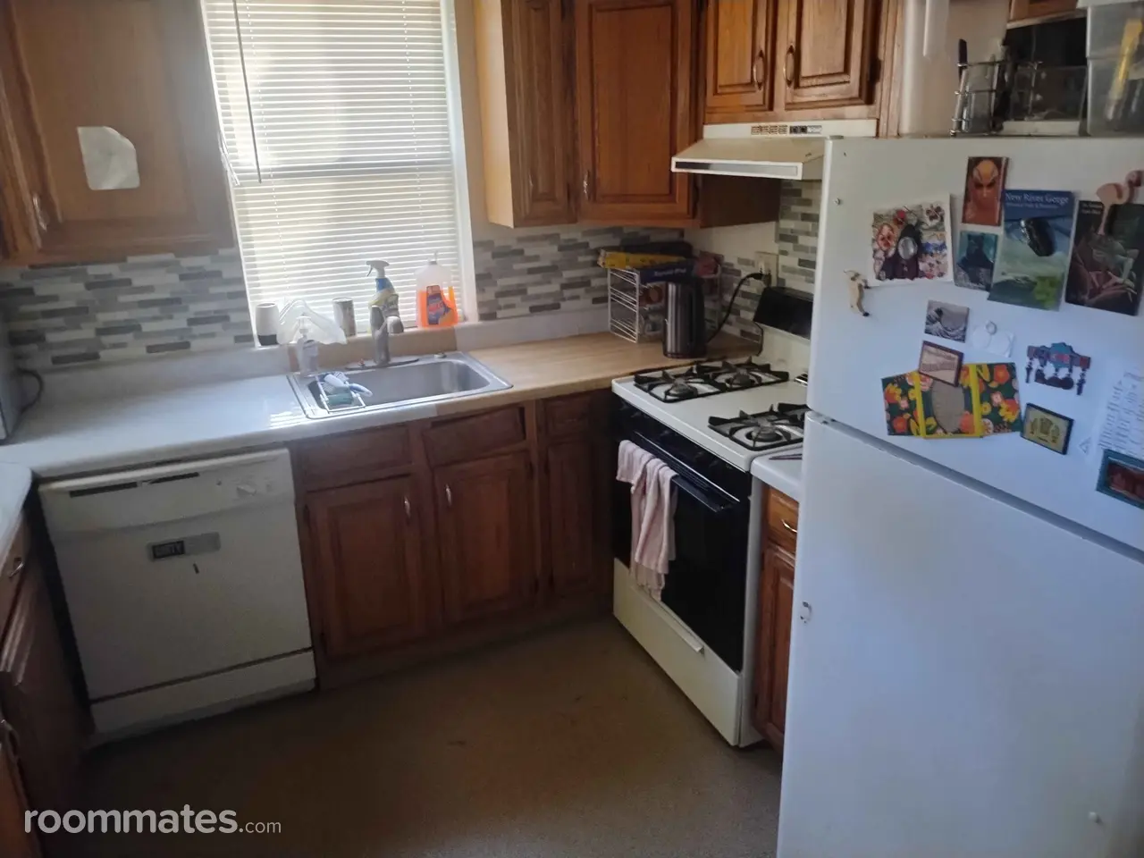 Profile photo 2 of 7