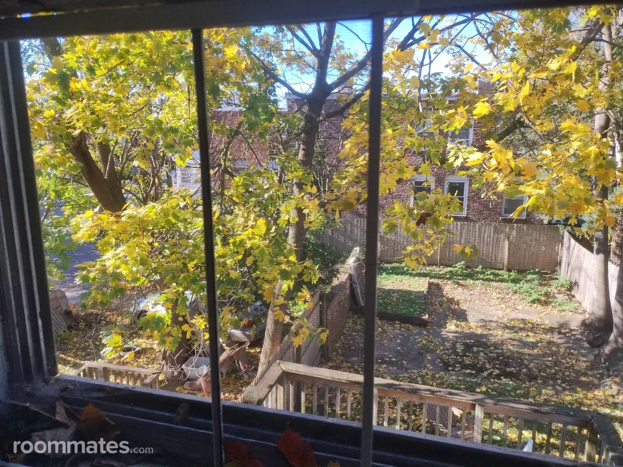 Profile photo 6 of 7