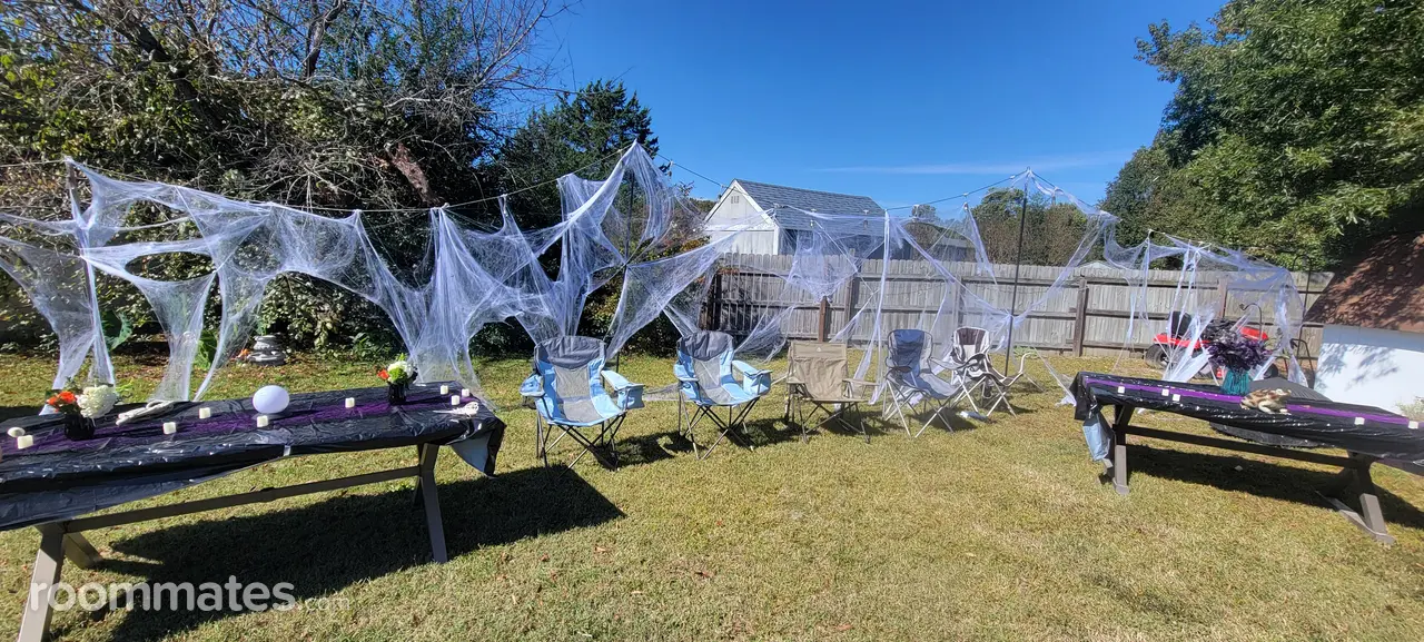 Profile photo 16 of 17