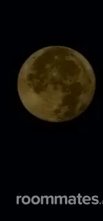 Roommate looking Mckinney, TX, $1000