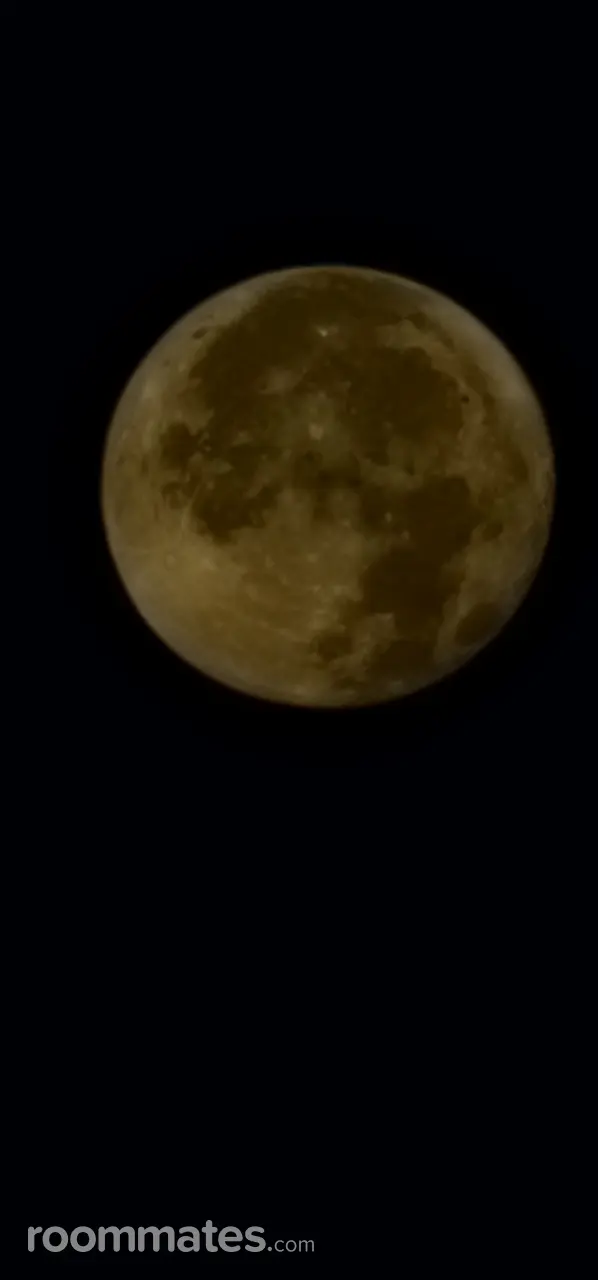 Profile photo 1 of 2