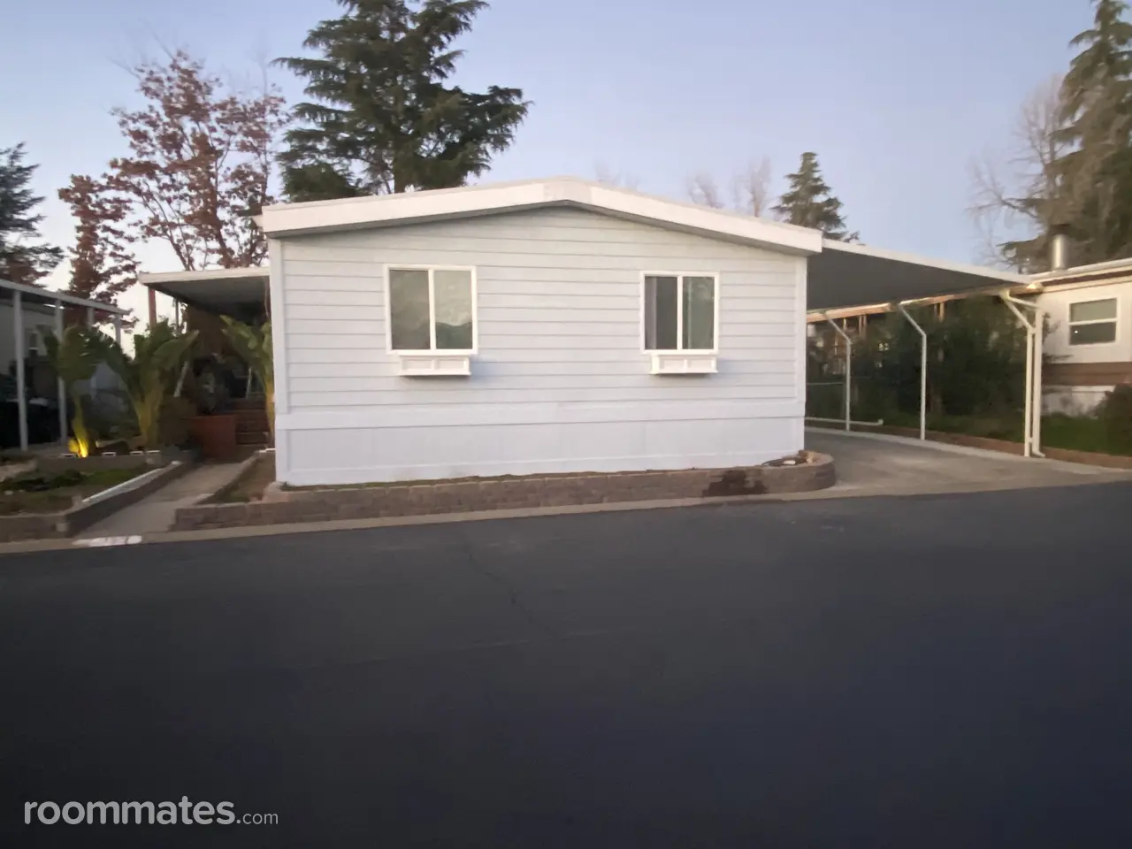 Profile photo 5 of 6