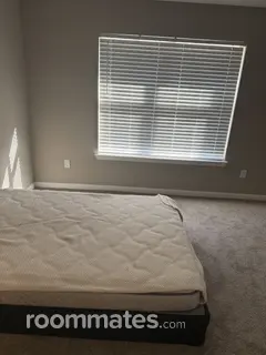 Room for rent in Arden, NC $800, apartment